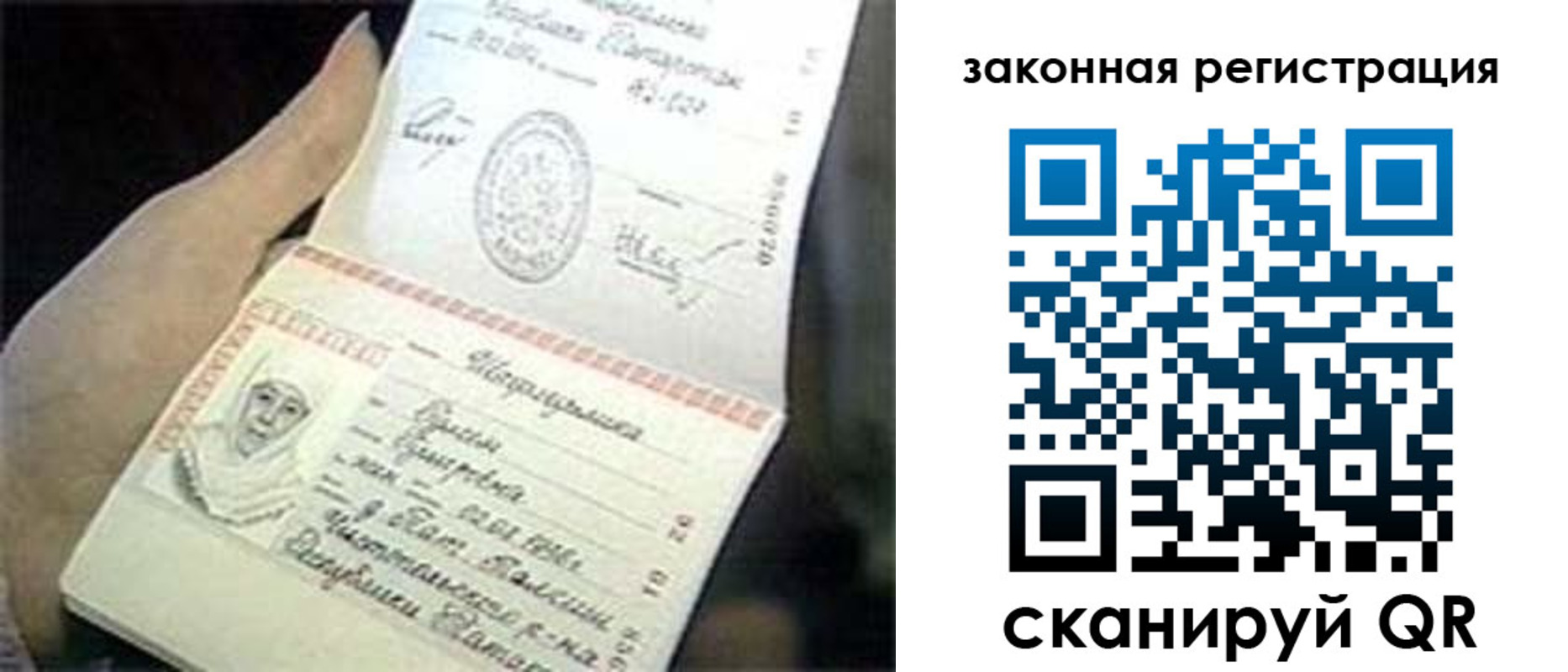 прописка для школы в Краснозаводске